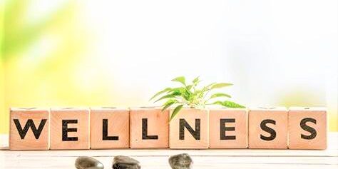 wellness 5